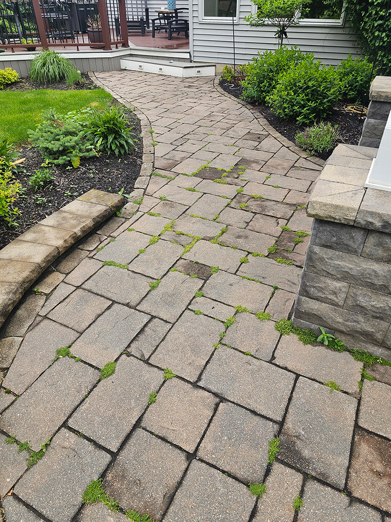 Paver Restoration Before