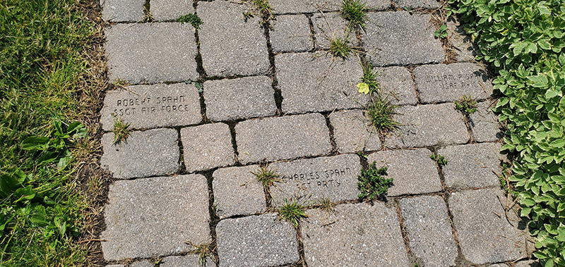 Paver Restoration Before